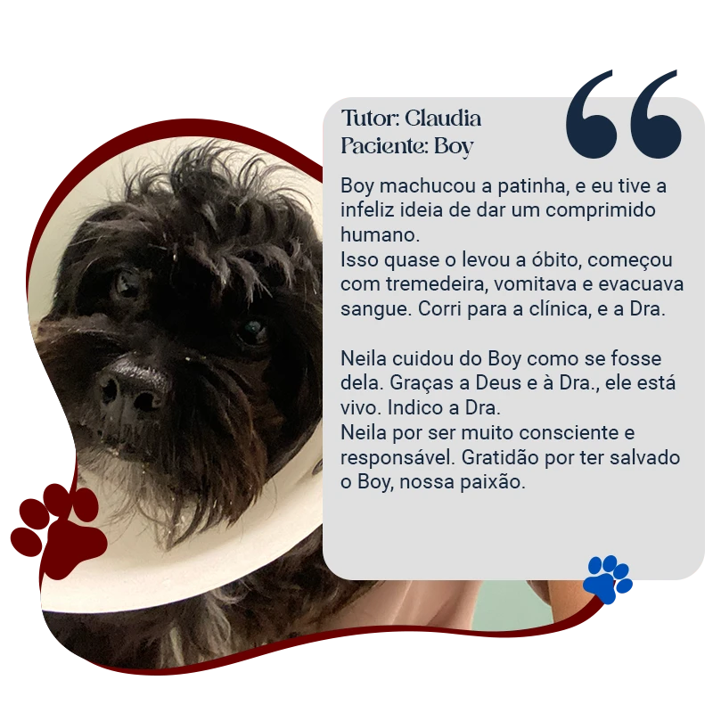 Claudia e Boy