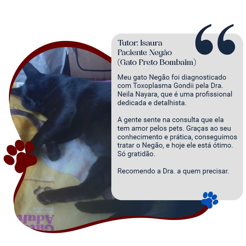 Isaura e Negão copy