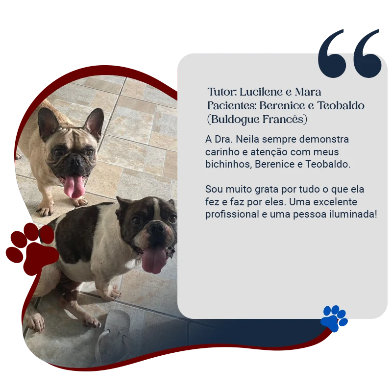 Luciene e Teobaldo copy