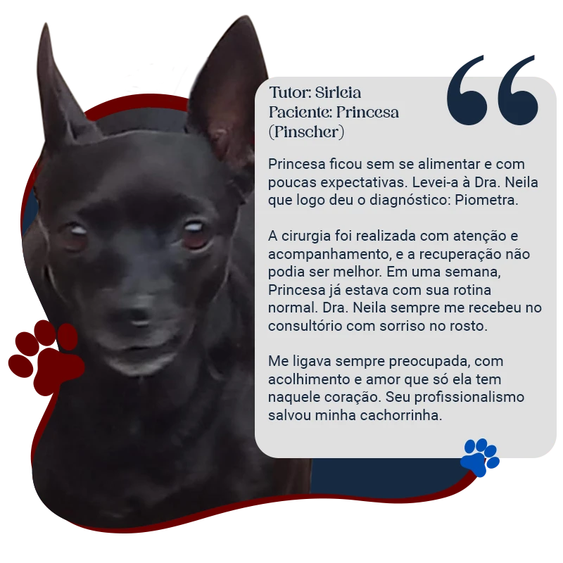 sirleia e princesa copy